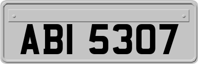 ABI5307