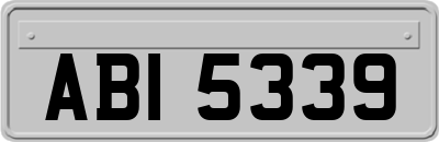 ABI5339