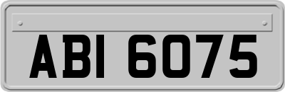 ABI6075