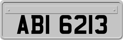 ABI6213