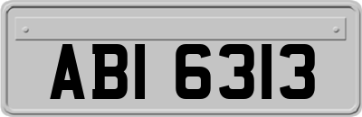 ABI6313