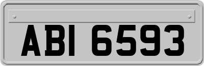 ABI6593
