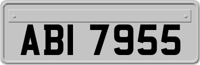 ABI7955