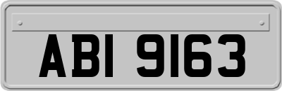 ABI9163