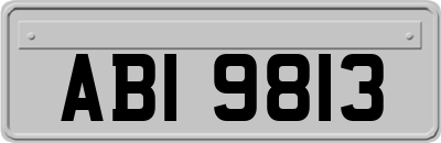 ABI9813