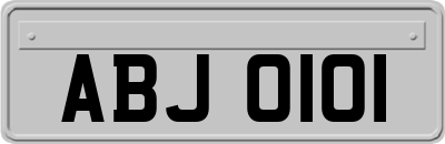 ABJ0101
