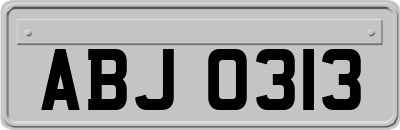 ABJ0313