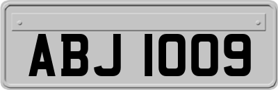 ABJ1009