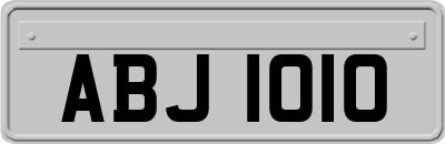 ABJ1010