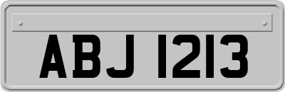 ABJ1213