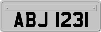 ABJ1231