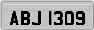 ABJ1309