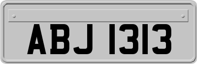 ABJ1313