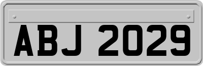 ABJ2029