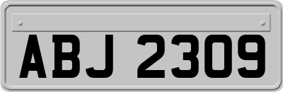 ABJ2309