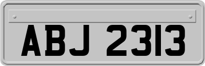 ABJ2313