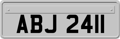 ABJ2411
