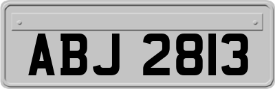 ABJ2813