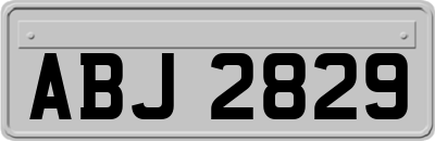 ABJ2829