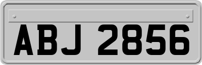 ABJ2856