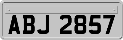 ABJ2857