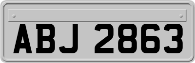 ABJ2863