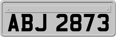 ABJ2873