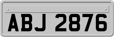 ABJ2876