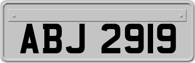 ABJ2919