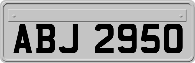 ABJ2950