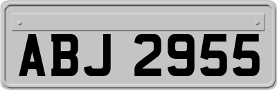 ABJ2955