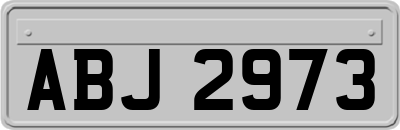 ABJ2973