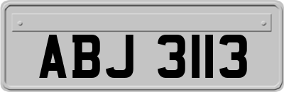 ABJ3113
