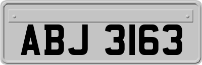 ABJ3163