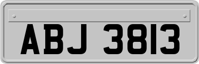 ABJ3813