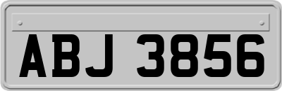 ABJ3856