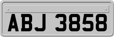 ABJ3858