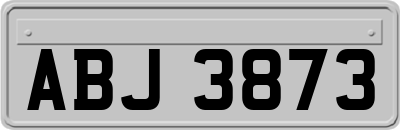 ABJ3873