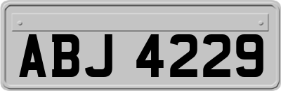 ABJ4229