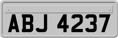 ABJ4237