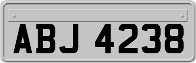 ABJ4238