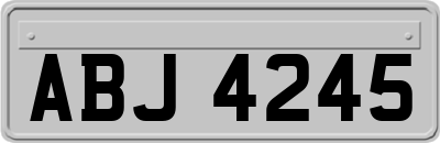 ABJ4245