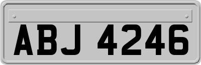 ABJ4246