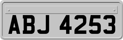 ABJ4253