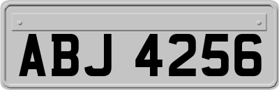 ABJ4256