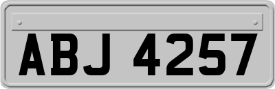 ABJ4257