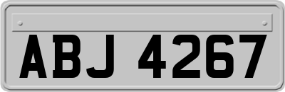 ABJ4267