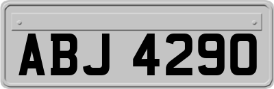 ABJ4290