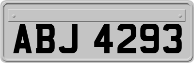 ABJ4293