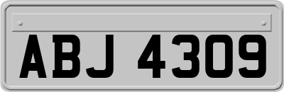 ABJ4309